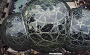 La biosphère géante d’Amazon